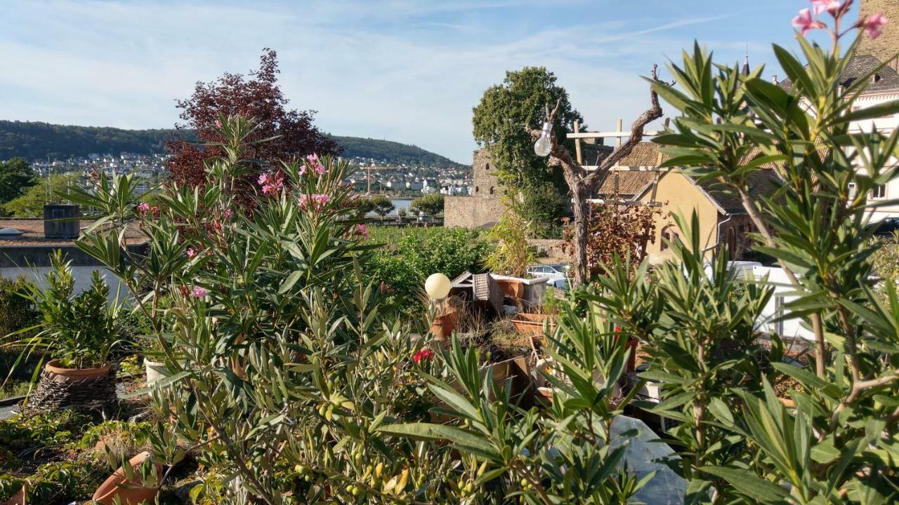 Artstudio Rudesheim Leilighet Rüdesheim am Rhein Eksteriør bilde
