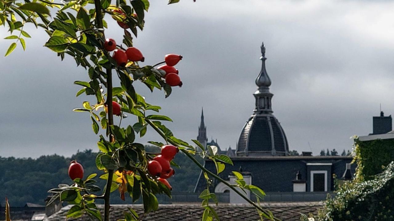 Artstudio Rudesheim Leilighet Rüdesheim am Rhein Eksteriør bilde
